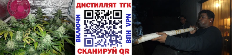 наркота  Новый Оскол  Дистиллят ТГК THC oil 